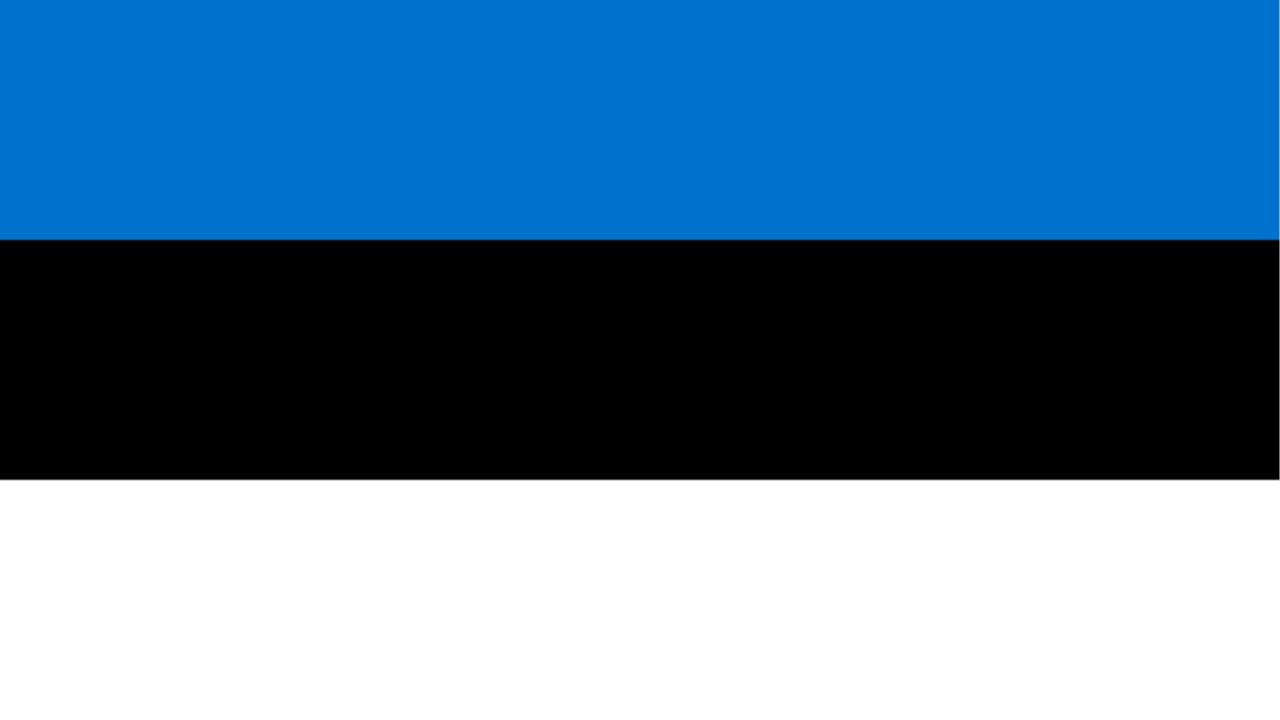 Estonia flag