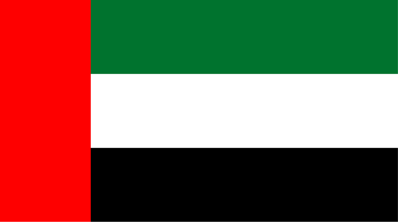 UAE flag